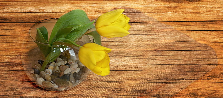 tulipany, żółte kwiaty, wiosenne kwiaty, Wazon, szkło, kamienie dekoracyjne, drewno