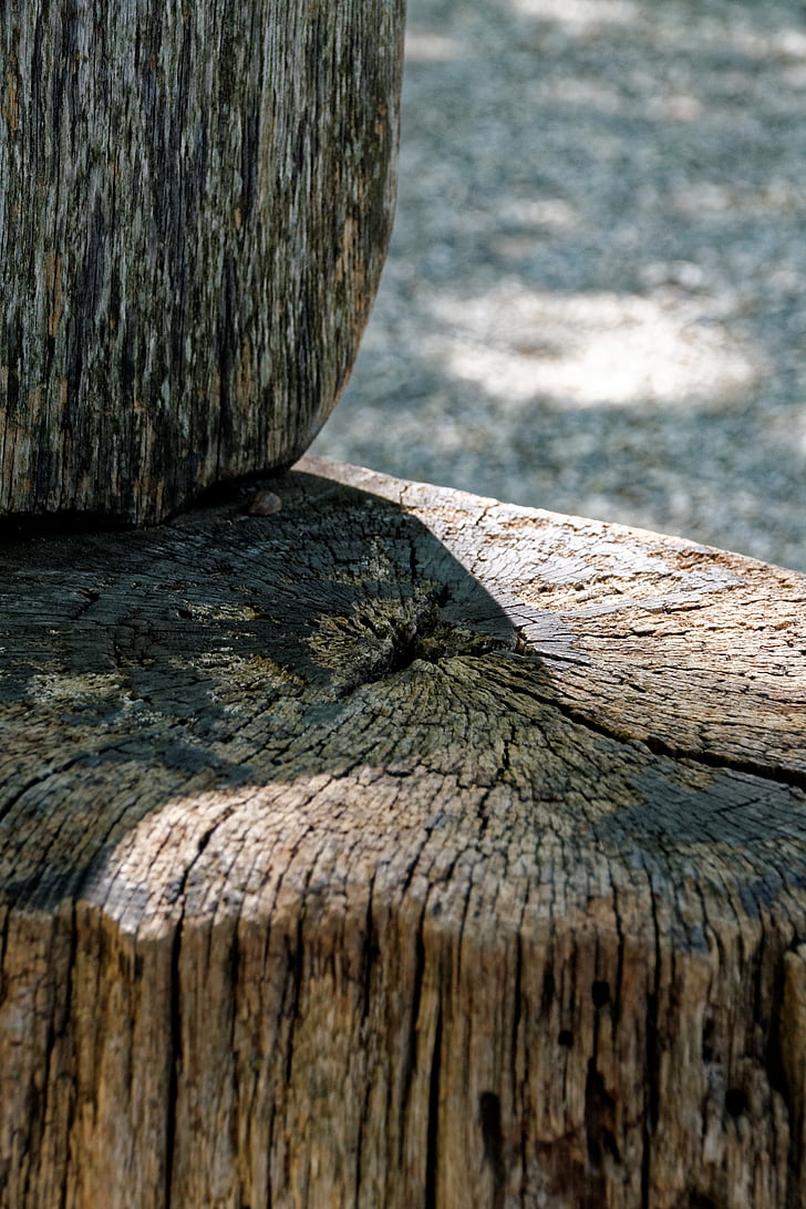 wood, chair, seat, weathered, nature, tree stump