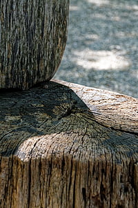 legno, sedia, sedile, esposto all'aria, natura, ceppo di albero