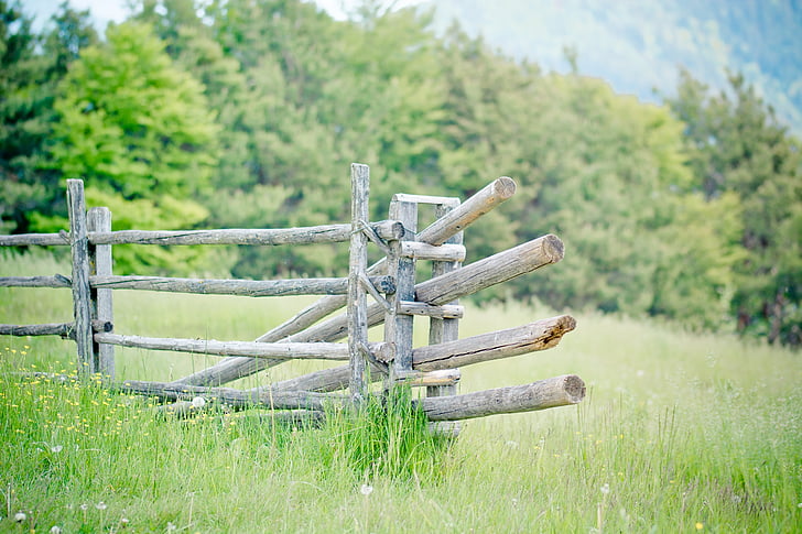 pasture, fence, pasture fence, meadow, wooden posts, coupling, demarcation