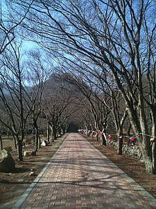 strada perimetrale, sentieri, Repubblica di Corea