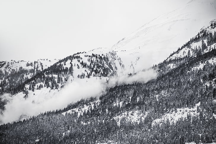 photo, snow, mountain, trees, gray, scale, photography