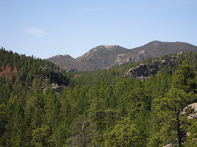 背包, 黑麋鹿荒野, 黑山, 南达科他州, 自然, 山, 森林