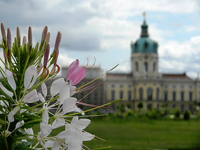 hrad, palác, obloha, Památník, Charlottenburg, cestovní ruch, Muzeum