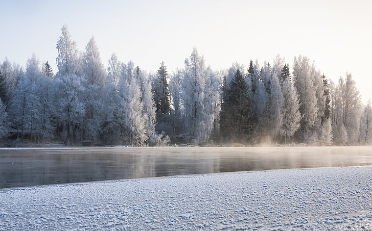 inverno, fiume, gelo, ghiaccio, flusso, paesaggio invernale, nevoso