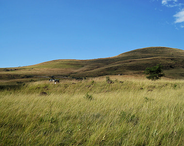 drakensberg, mountains, veld, grass, sky, landscape, wilderness