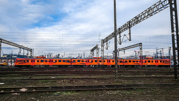 tijger, trein, locomotief, wagons, spoorwegen, rails, PKP