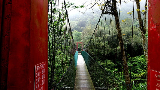 ponte levadiça, paisagem, Taiwan