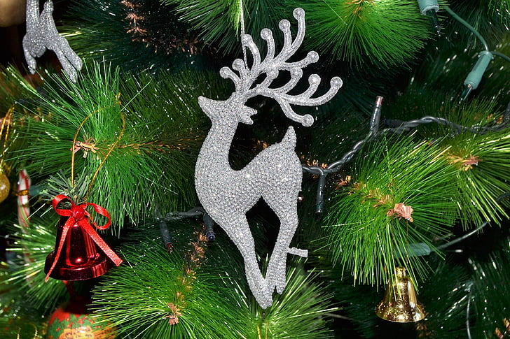 Weihnachten, Baum, Weihnachtsbaum, Frohe Weihnachten, Feier, Weihnachts-Dekoration, Tradition