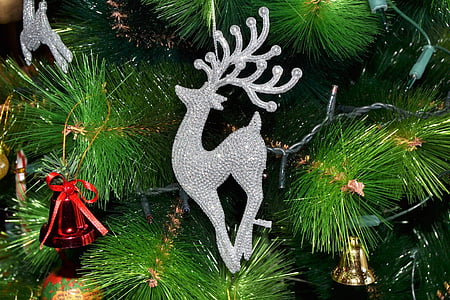christmas, tree, christmas tree, merry christmas, celebration, christmas decoration, tradition
