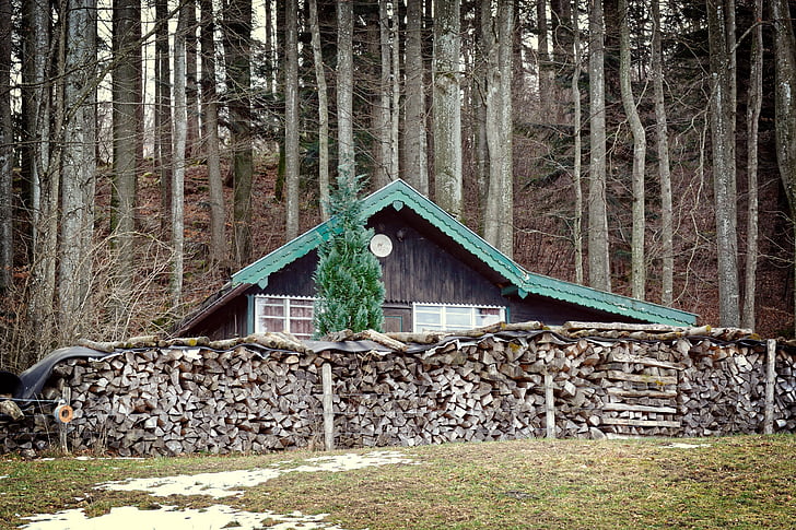 hut, forest, vacation, nature, log cabin, wood, old