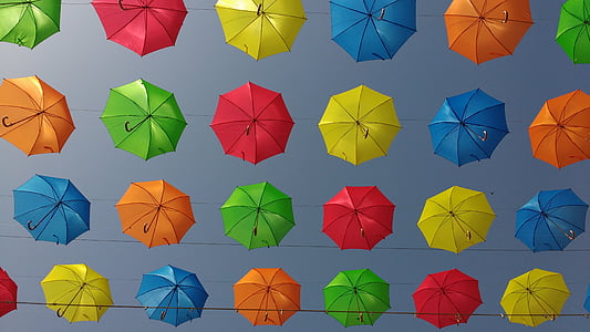 low, angle, photo, assorted, color, umbrella, lot