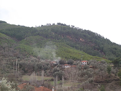 Muğla, Highland, Forest, Page d’accueil