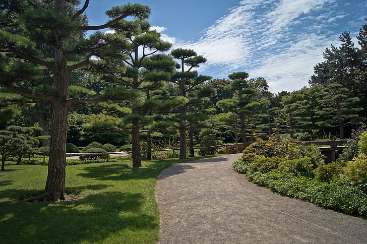Ιαπωνικά Κήπος, δέντρα, υπόλοιπο, μακριά, εικόνα φόντου, Πάρκο, πράσινο