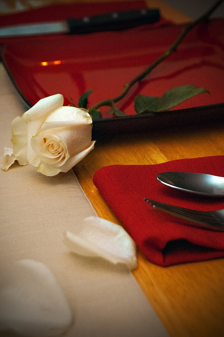 día de San Valentín, color de rosa, Romance, romántica, flor, amor, celebración