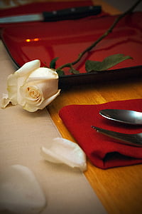 Valentīna, slējās, romantika, romantisks, puķe, mīlu, svinības