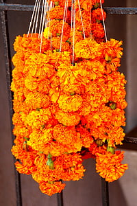kwiaty, pomarańczowy, pomarańczowe kwiaty, Indie