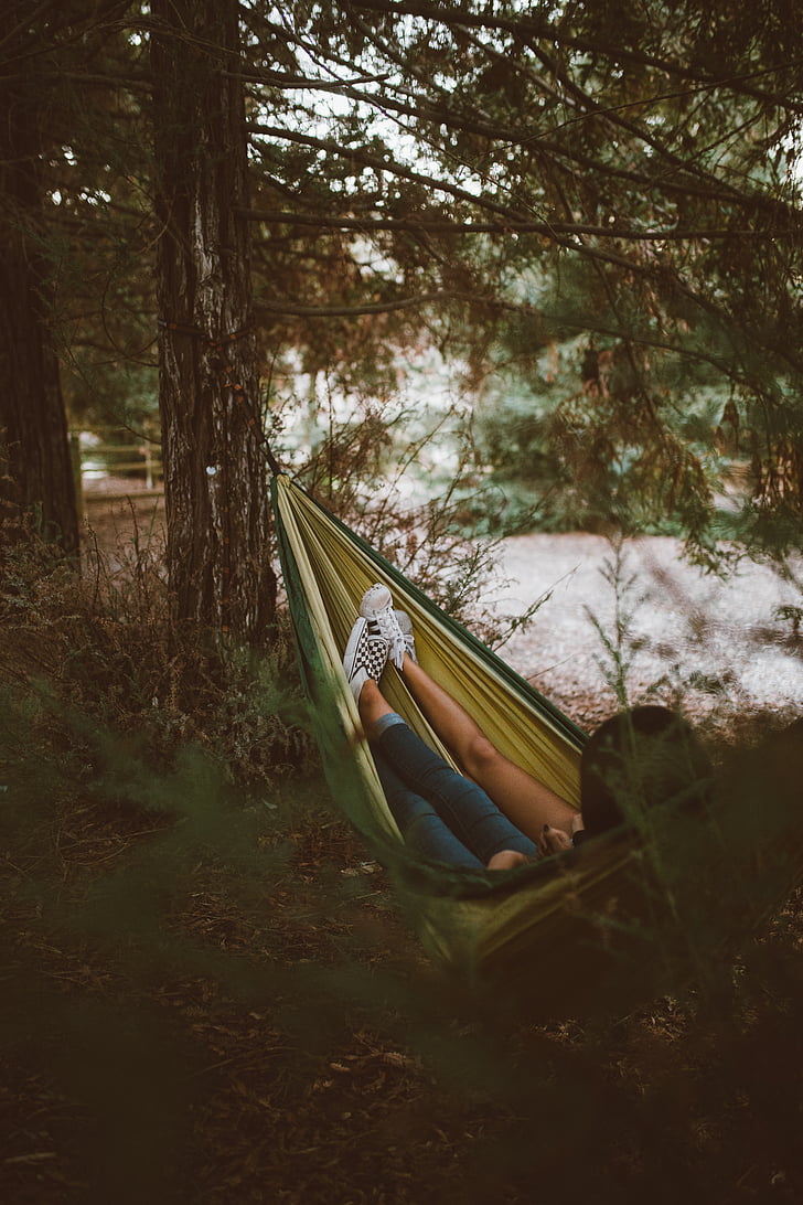 couple, laying, green, yellow, hammock, forest, grass