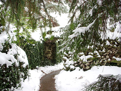 grotto, prayer, path, winter, religion, our lady of lourdes