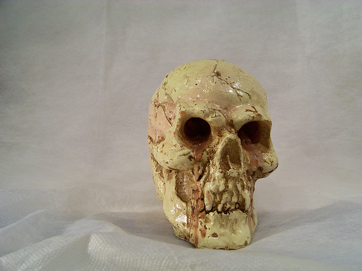 skull and crossbones, decorative items, candle, wax, decoration, burn, light