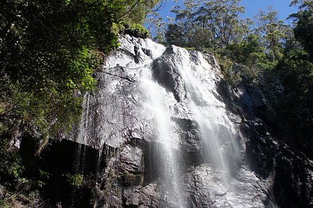 ett annat vattenfall, Springbrook nationalpark, Queensland Australien, vattenfall, naturen, skogen, träd