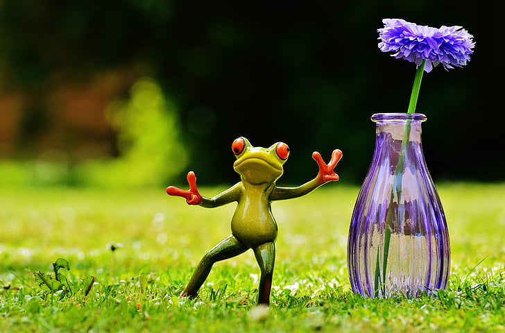 жаба, жест, мир, ваза, цвете, Смешно, Сладък