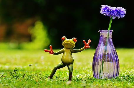 žaba, gesta, mira, vaza, cvijet, smiješno, slatka
