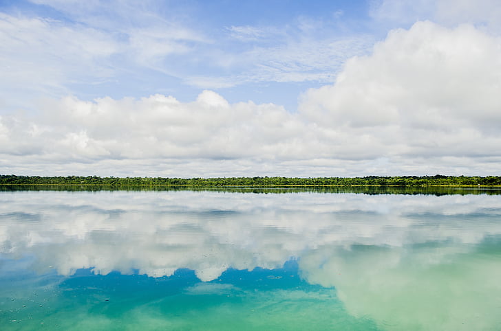 Foto, Horisont, visar, spegel, reflektion, skogen, blå