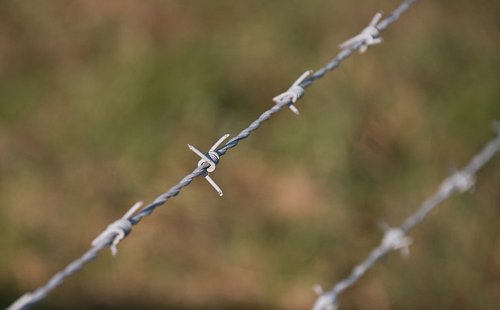 barbed wire, dangerous, pointed, fence, demarcation, close, obstacle