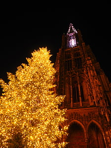Ulm собор, Ульм, Рождество, фары, освещение, ночь, Освещенная
