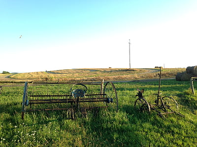 estate, campo, erba, Villaggio, agricoltore, campicoltura, villaggio di Polonia