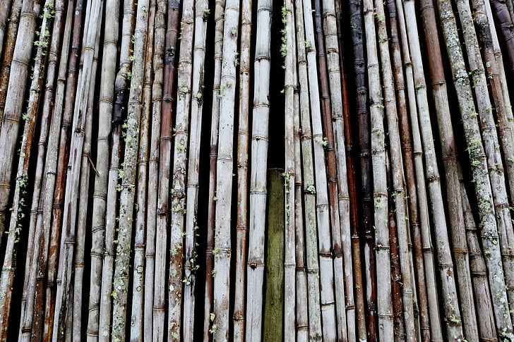 bambù, Bundle, progettazione, recinzione, linea, modello, grezzo