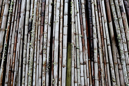 bambus, Pakiet, konstrukcja, płot, Linia, wzór, szorstki