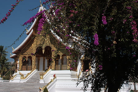 Asia, templet, Laos