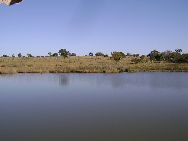 pond, brazil, blue lagoon, water, landscape