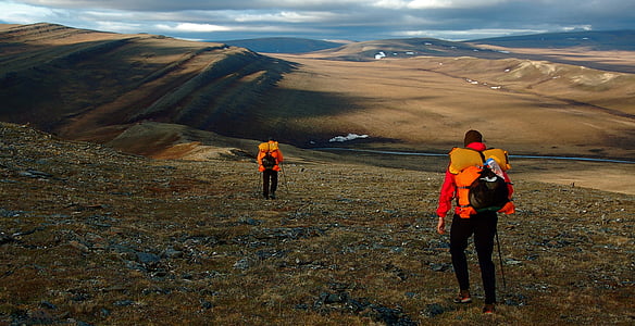 alaska, wilderness, tundra, mountains, landscape, scenery, nature