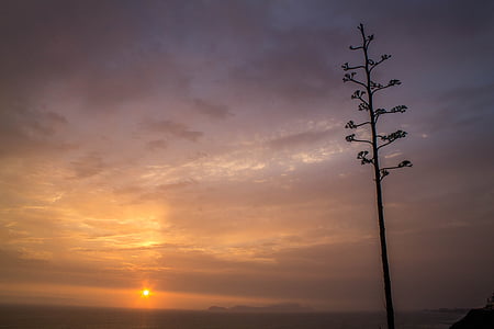 fotografia, immagine, Canon, tramonto, natura, cielo, sagoma