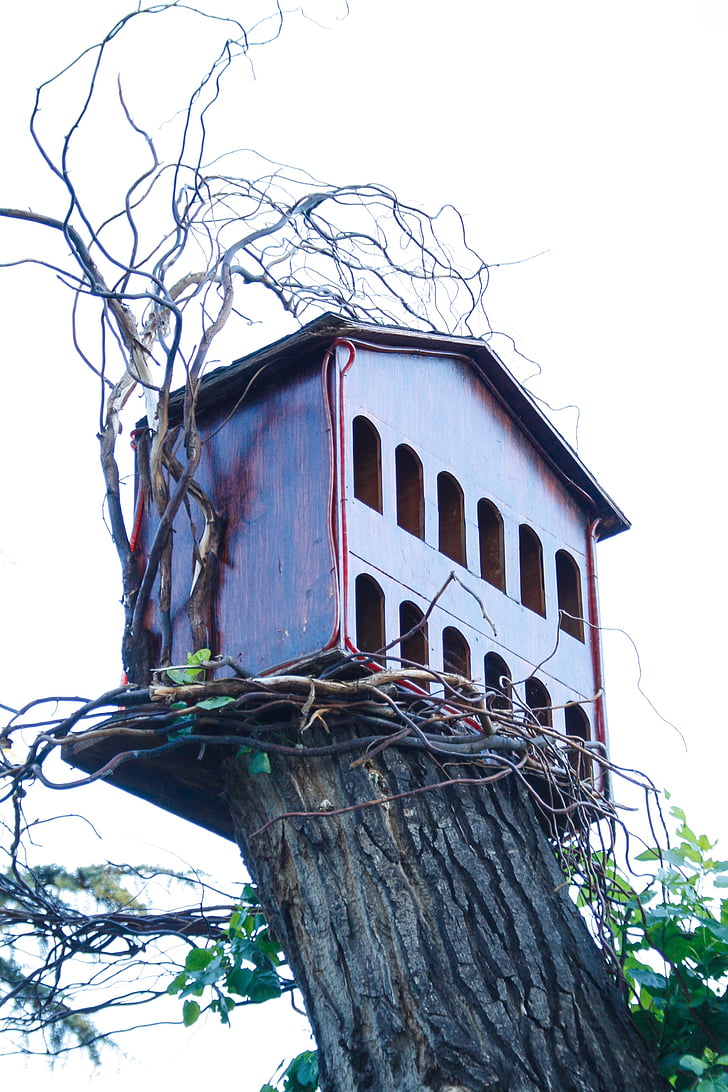 dům na stromě, holubník, strom, venkovní, rustikální, dekorace, dřevo