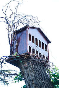 træ hus, Birdhouse, træ, udendørs, rustik, dekoration, træ