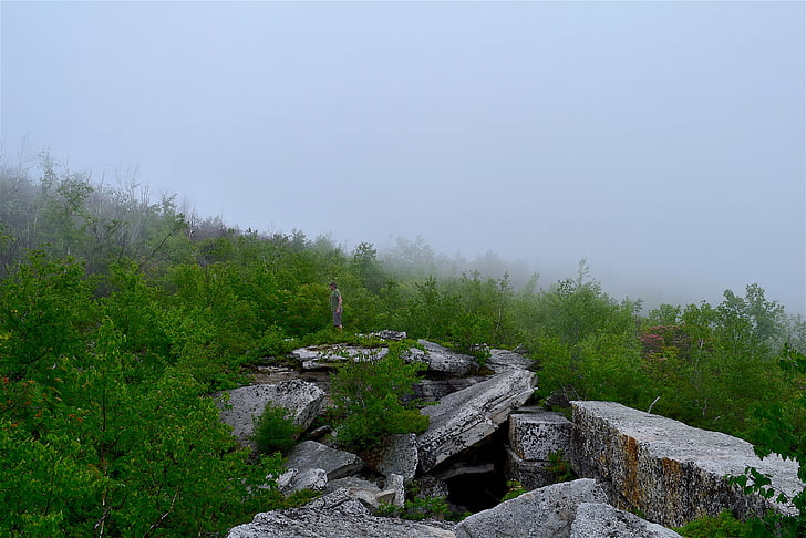 ομίχλη, δάσος, πέτρα, βουνό, φύση, ομίχλη, τοπίο