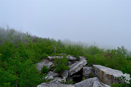 sương mù, rừng, đá, núi, Thiên nhiên, sương mù, cảnh quan