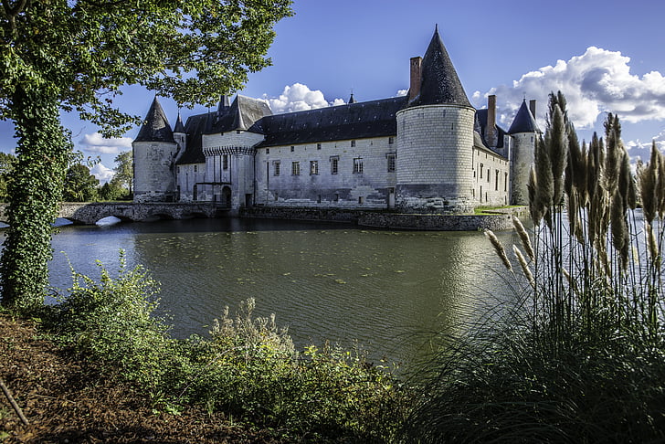 dvorac Plesi, srednjovjekovni, srednji vijek, Francuska baštine, Loire, jezero, trska