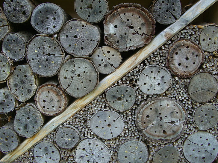 insect hotel, nesting help, drill holes, entry openings, tree grates, hibernation help, insect