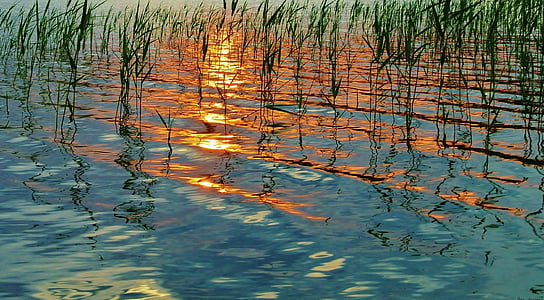 nyári, naplemente, tó