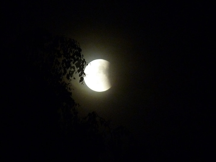 eclipse lunar, à noite, lua, céu, preto e branco, fotografia de noite
