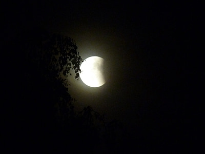 zaćmienie Księżyca, noc, Księżyc, niebo, czarno-białe, nocne zdjęcie