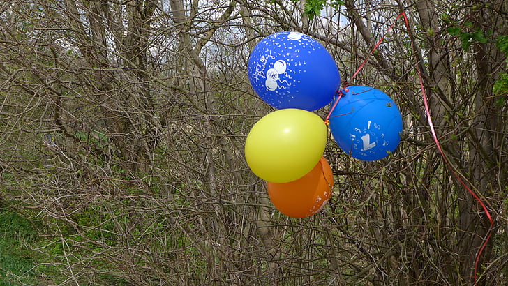 õhupallid, Bush, Mark, Värviline, kollane, oranž, sinine