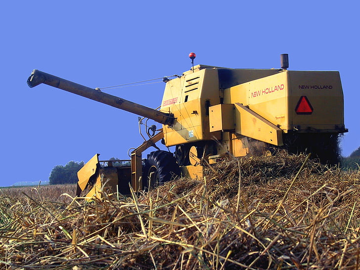moissonneuse-batteuse, Clayson-140, Nouvelle-Hollande, récolte céréalière, récolte de blé, machine agricole de paille de blé, mois de récolte