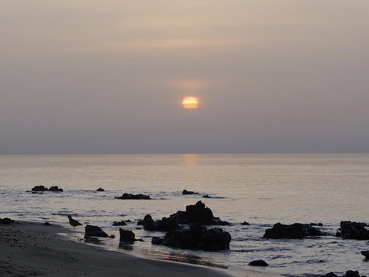 Dawn, pobřeží, obloha, Já?, oceán, pláž, Příroda