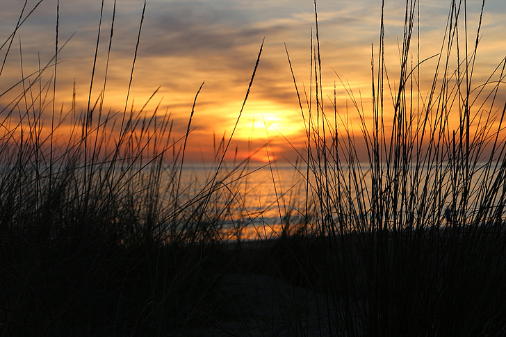 solnedgång, Juncos, havet, Shore, vatten, Sand, landskap